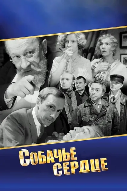 Юрий Волков